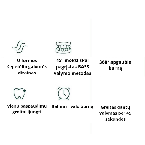 U formos elektrinis dantų šepetėlis